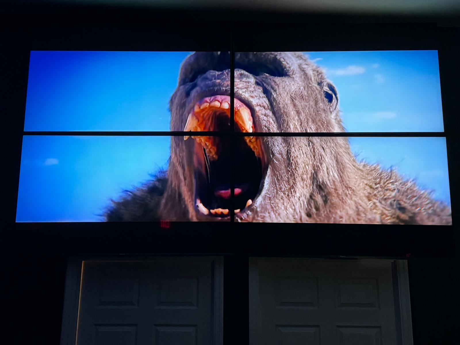 WhatsApp Image 2025-01-16 at 11.45.51